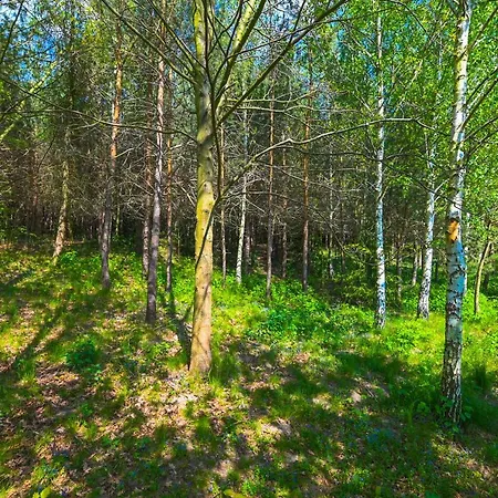 Вилла Villa Zelazowa Wola Zelazowa Wola