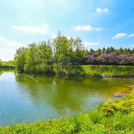 Вилла Villa Zelazowa Wola *