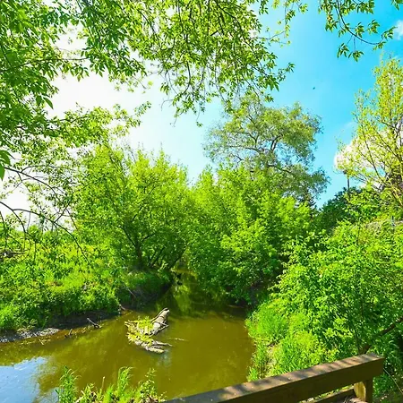 Villa Zelazowa Wola *