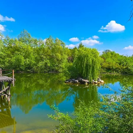 Villa Zelazowa Wola Вилла *