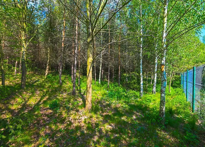 别墅 Villa Zelazowa Wola Zelazowa Wola