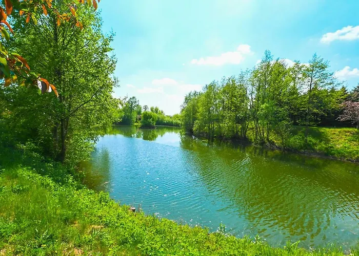 别墅 Villa Zelazowa Wola *