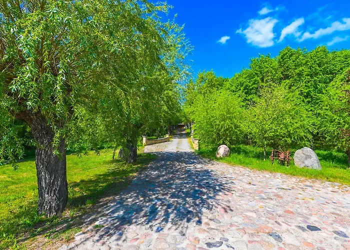 Villa Zelazowa Wola Zelazowa Wola