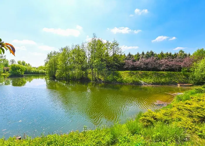 别墅 Villa Zelazowa Wola *