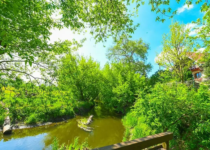 Villa Zelazowa Wola *