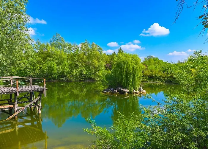 Villa Zelazowa Wola 别墅 *