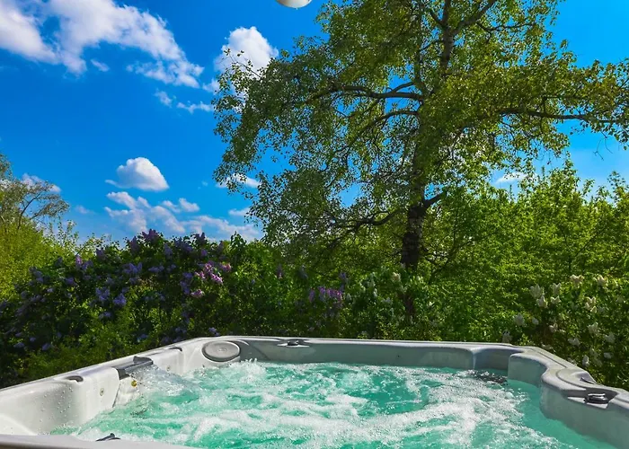 别墅 Villa Zelazowa Wola *