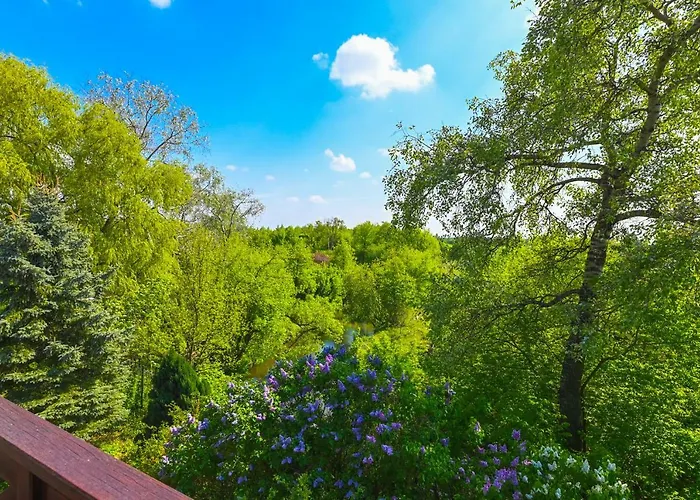 Villa Zelazowa Wola * Zelazowa Wola