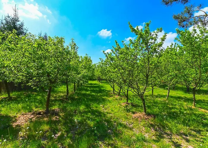 Villa Zelazowa Wola Zelazowa Wola