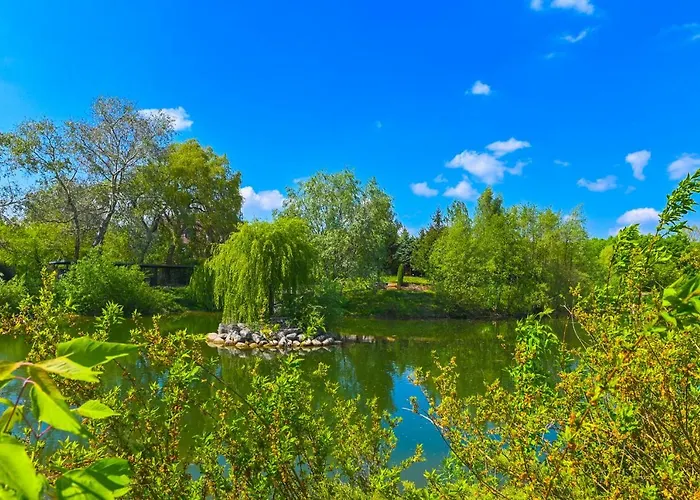 Villa Zelazowa Wola 别墅 *